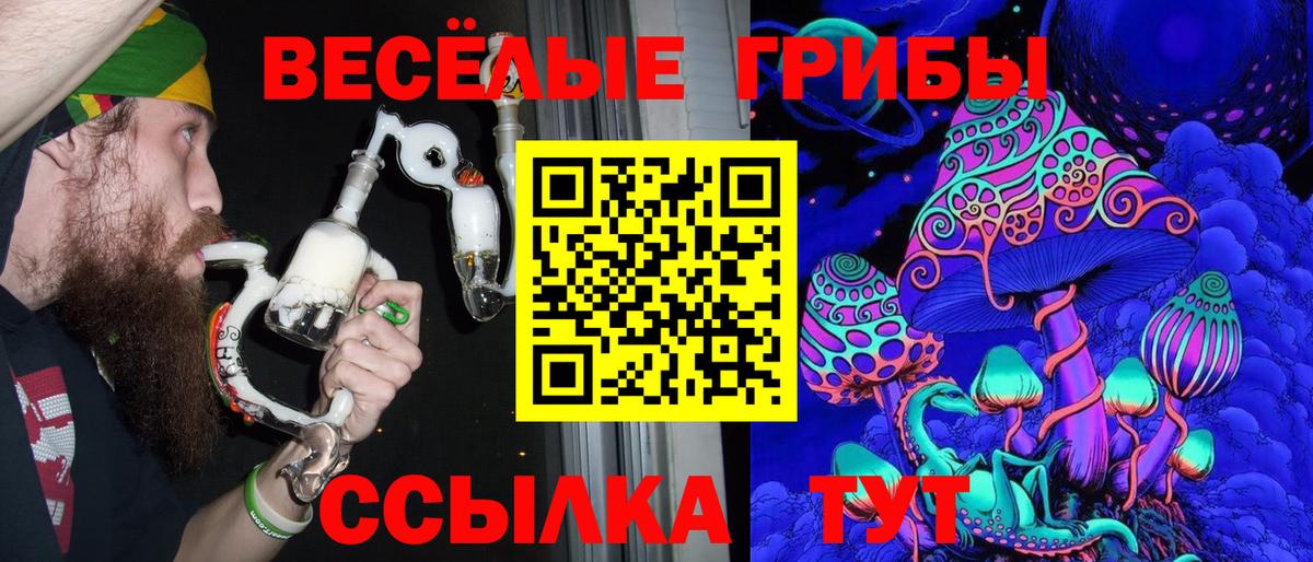 Псилоцибиновые грибы мухоморы Аргун